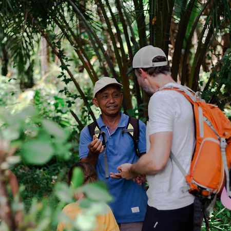 Ambow Homestay Jungle Trekking & Village Tour Bukit Lawang Extérieur photo