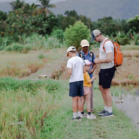 Ambow Homestay Jungle Trekking & Village Tour Bukit Lawang Extérieur photo