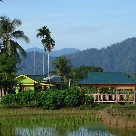 Ambow Homestay Jungle Trekking & Village Tour Bukit Lawang Extérieur photo