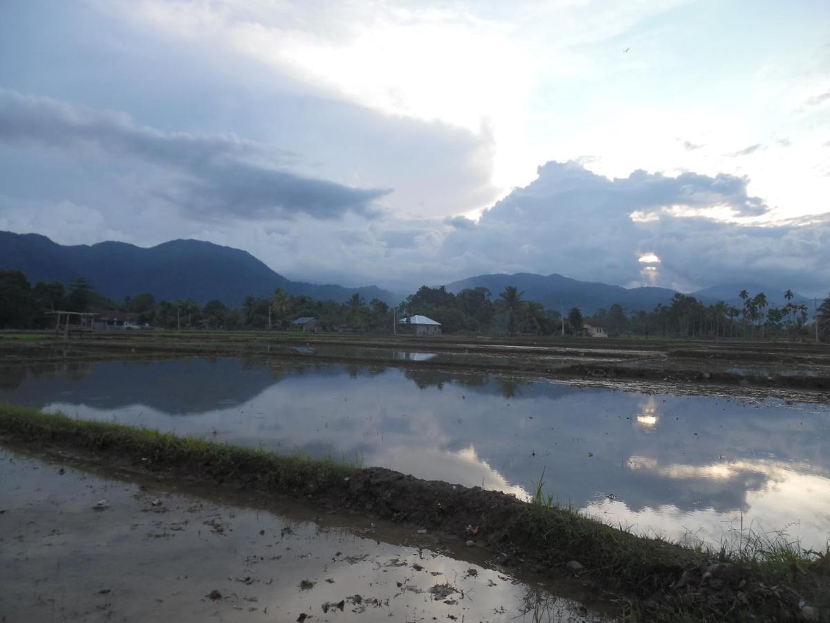 Ambow Homestay Jungle Trekking & Village Tour Bukit Lawang Extérieur photo
