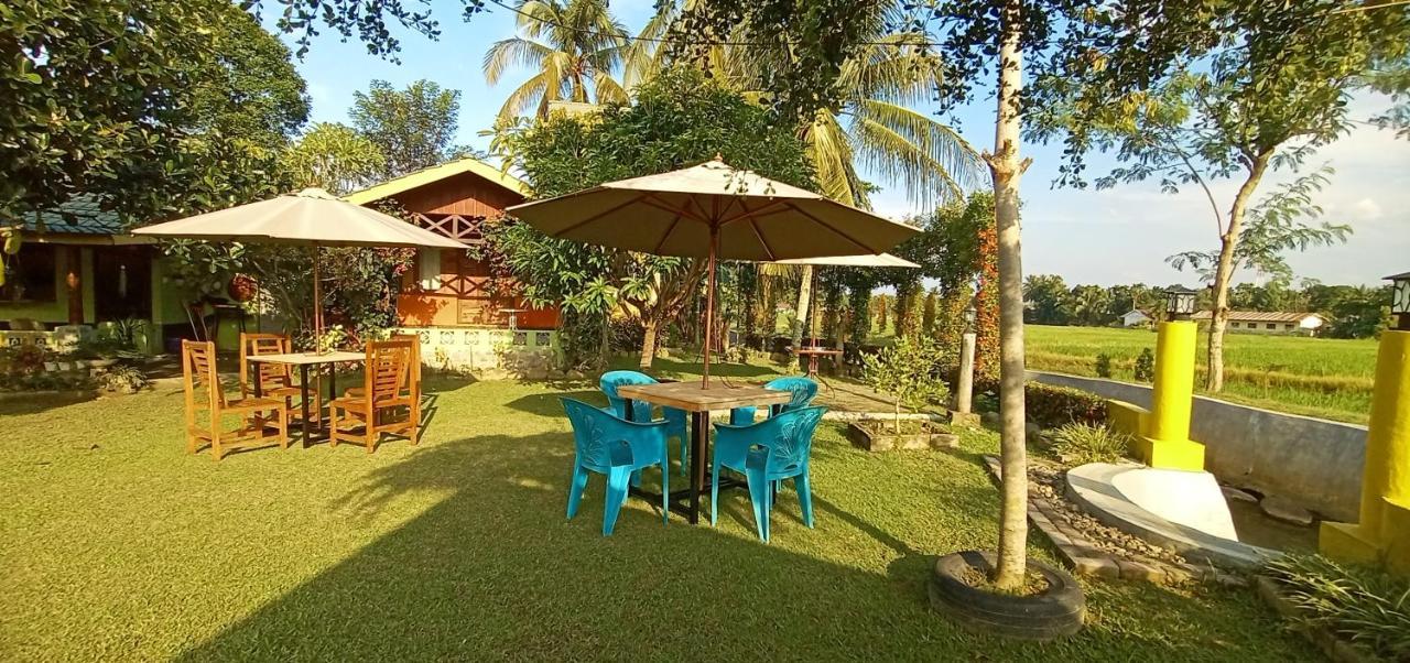 Ambow Homestay Jungle Trekking & Village Tour Bukit Lawang Extérieur photo