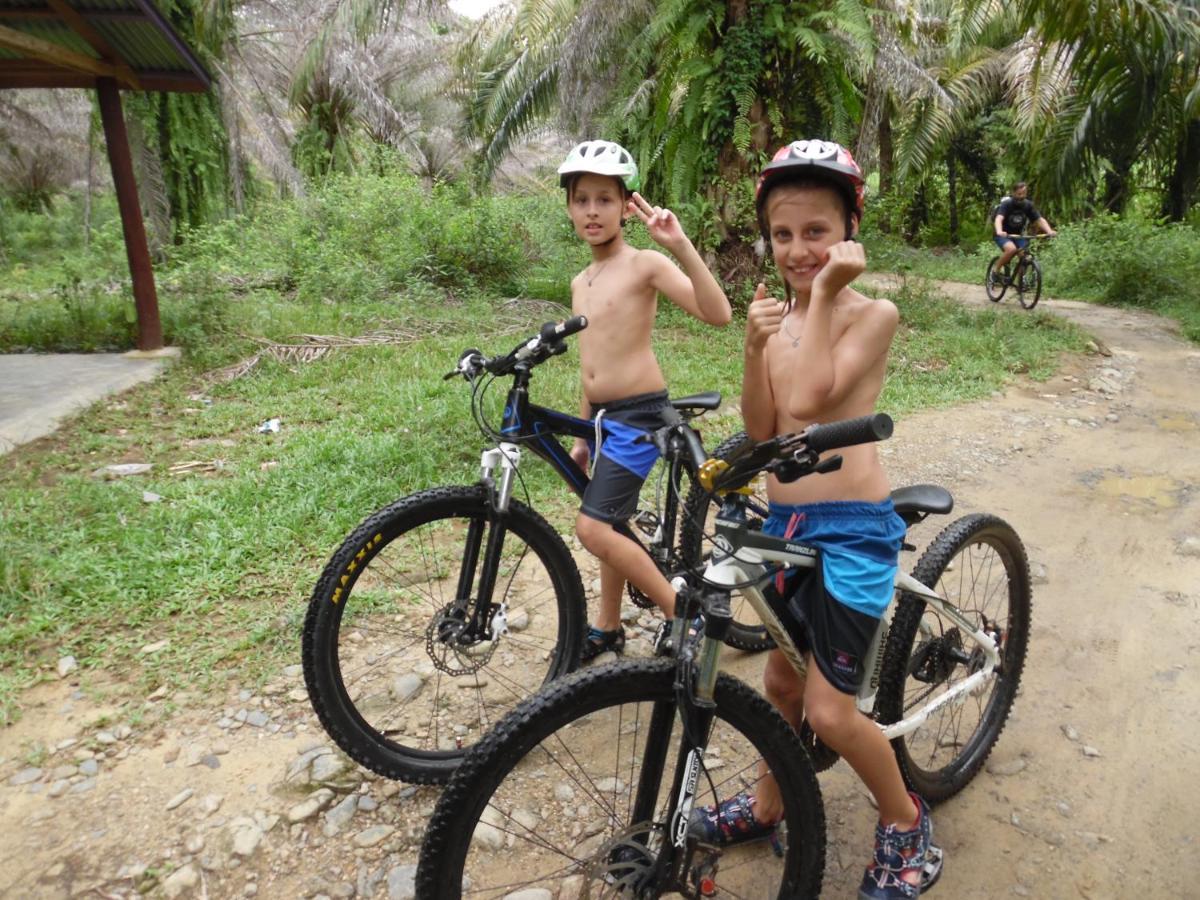 Ambow Homestay Jungle Trekking & Village Tour Bukit Lawang Extérieur photo
