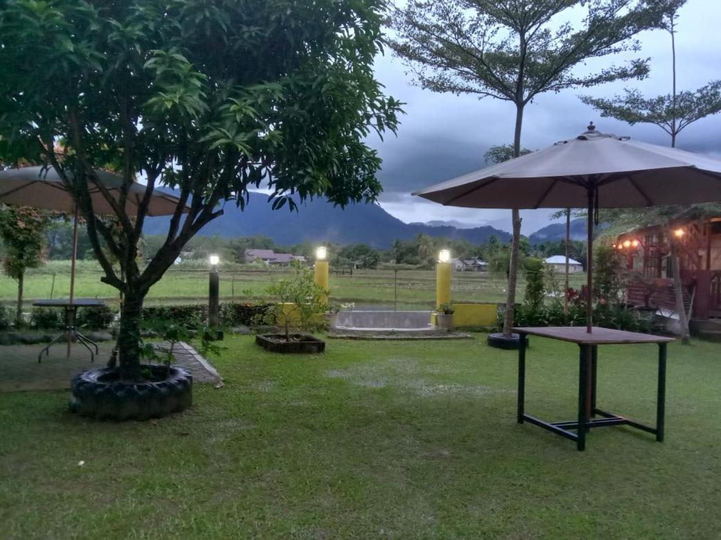 Ambow Homestay Jungle Trekking & Village Tour Bukit Lawang Extérieur photo
