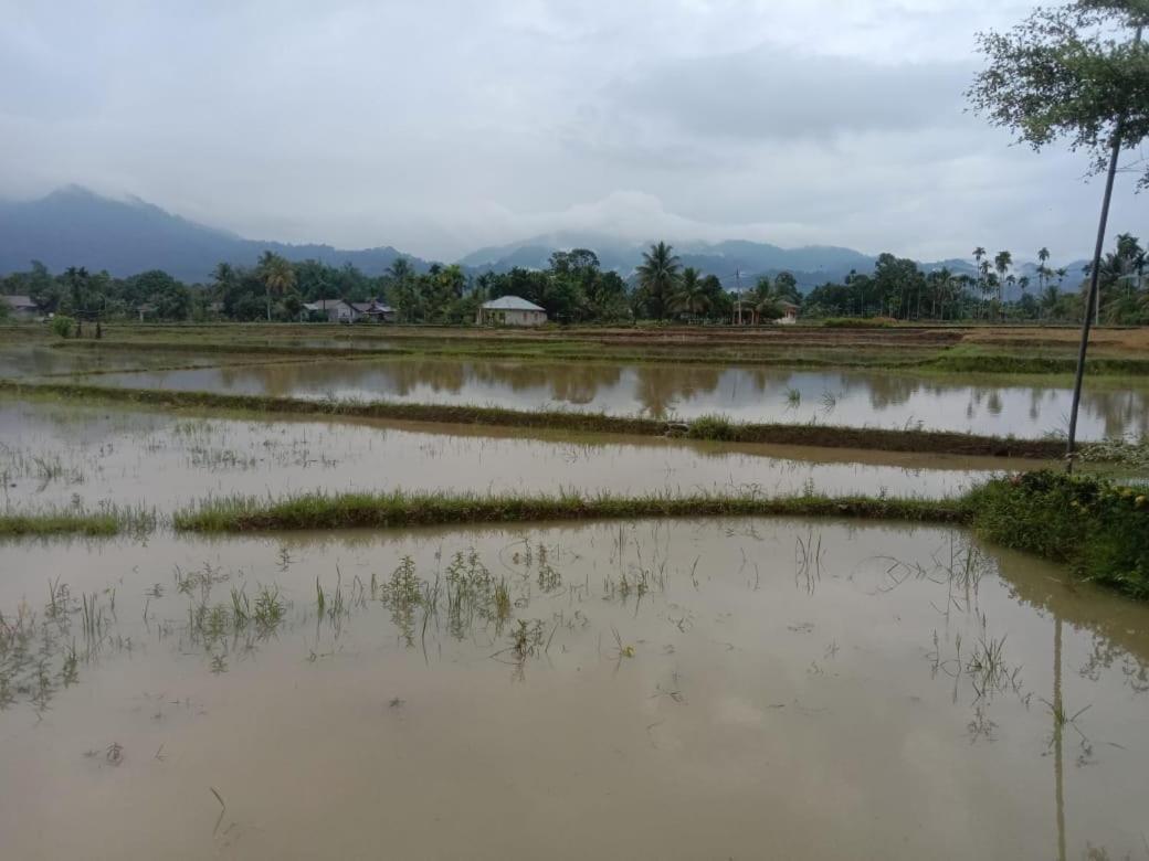 Ambow Homestay Jungle Trekking & Village Tour Bukit Lawang Extérieur photo