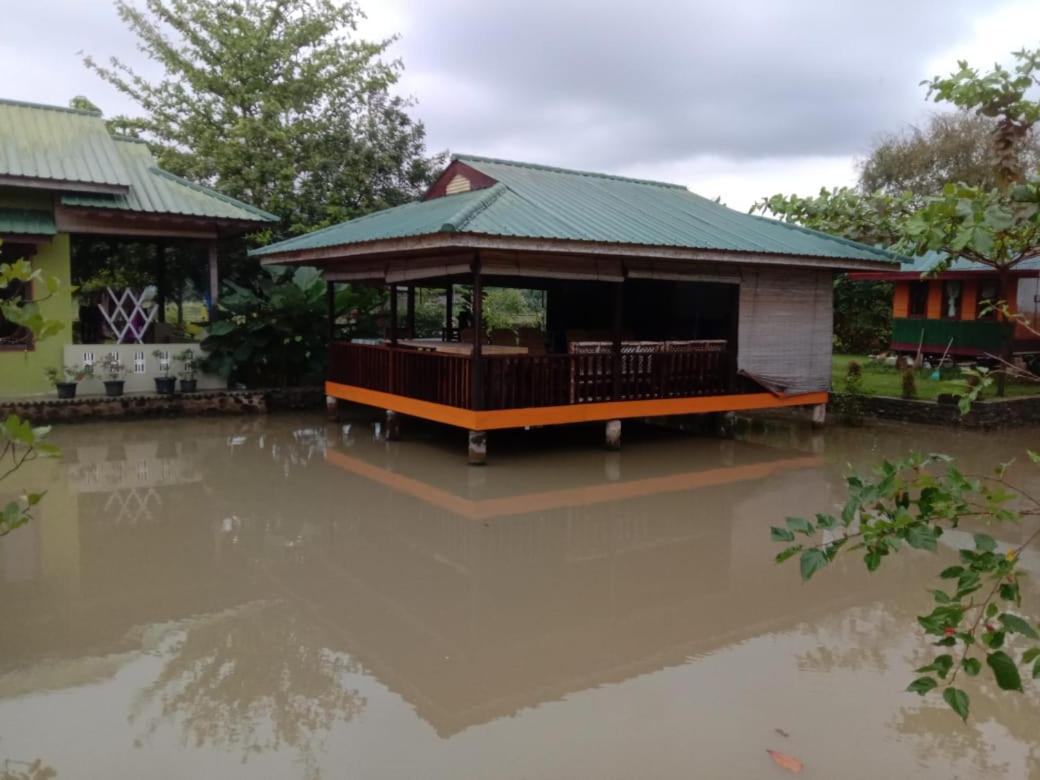 Ambow Homestay Jungle Trekking & Village Tour Bukit Lawang Extérieur photo