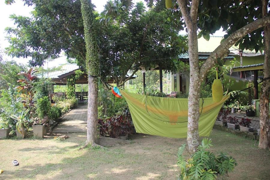 Ambow Homestay Jungle Trekking & Village Tour Bukit Lawang Extérieur photo