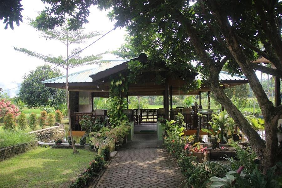 Ambow Homestay Jungle Trekking & Village Tour Bukit Lawang Extérieur photo