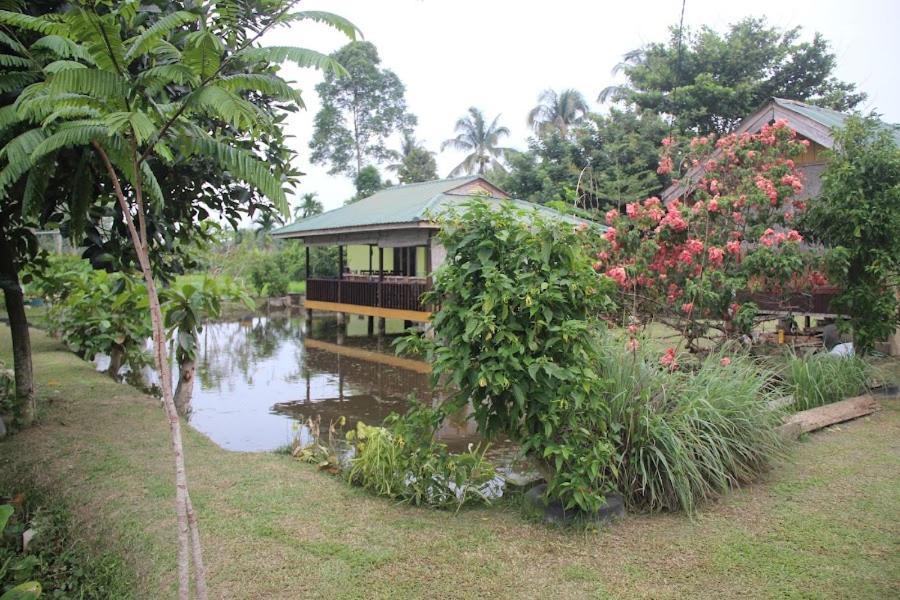 Ambow Homestay Jungle Trekking & Village Tour Bukit Lawang Extérieur photo