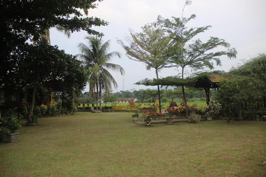 Ambow Homestay Jungle Trekking & Village Tour Bukit Lawang Extérieur photo