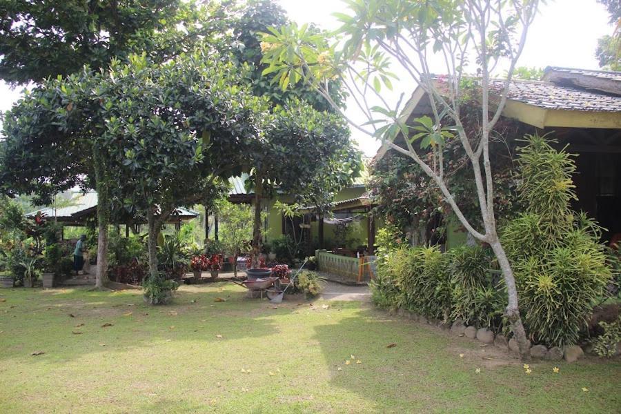 Ambow Homestay Jungle Trekking & Village Tour Bukit Lawang Extérieur photo