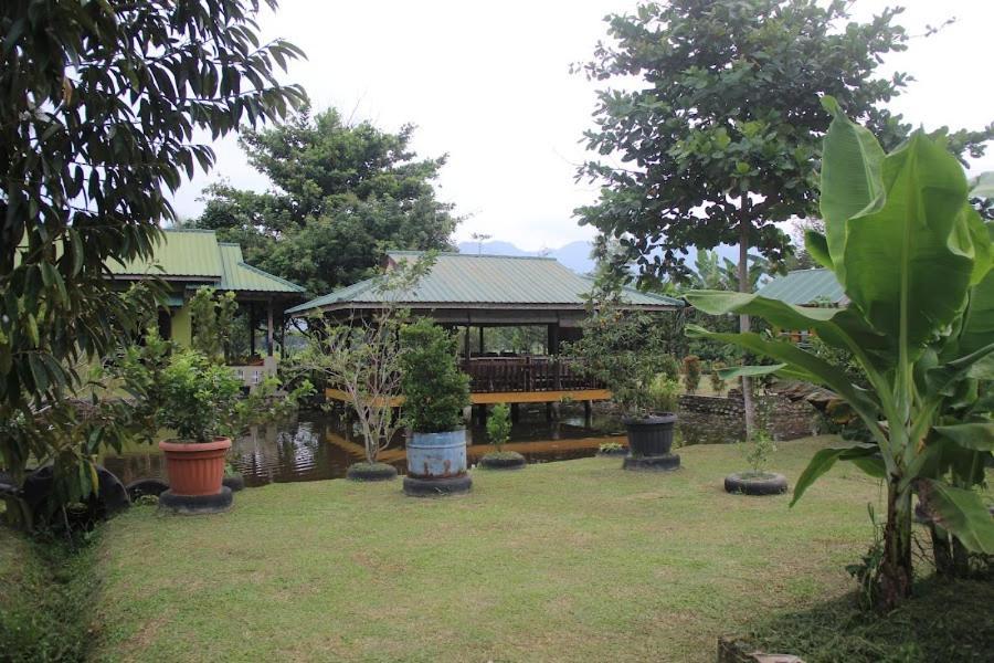 Ambow Homestay Jungle Trekking & Village Tour Bukit Lawang Extérieur photo