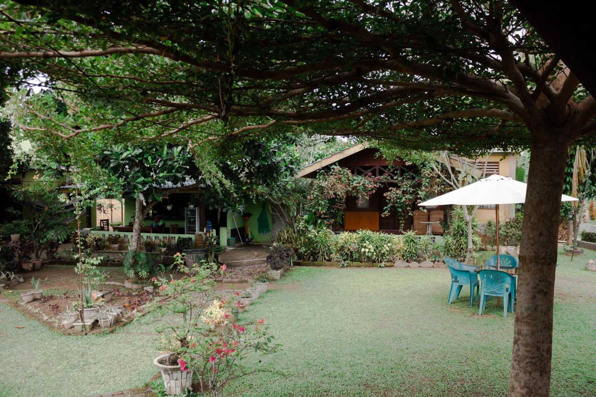 Ambow Homestay Jungle Trekking & Village Tour Bukit Lawang Extérieur photo