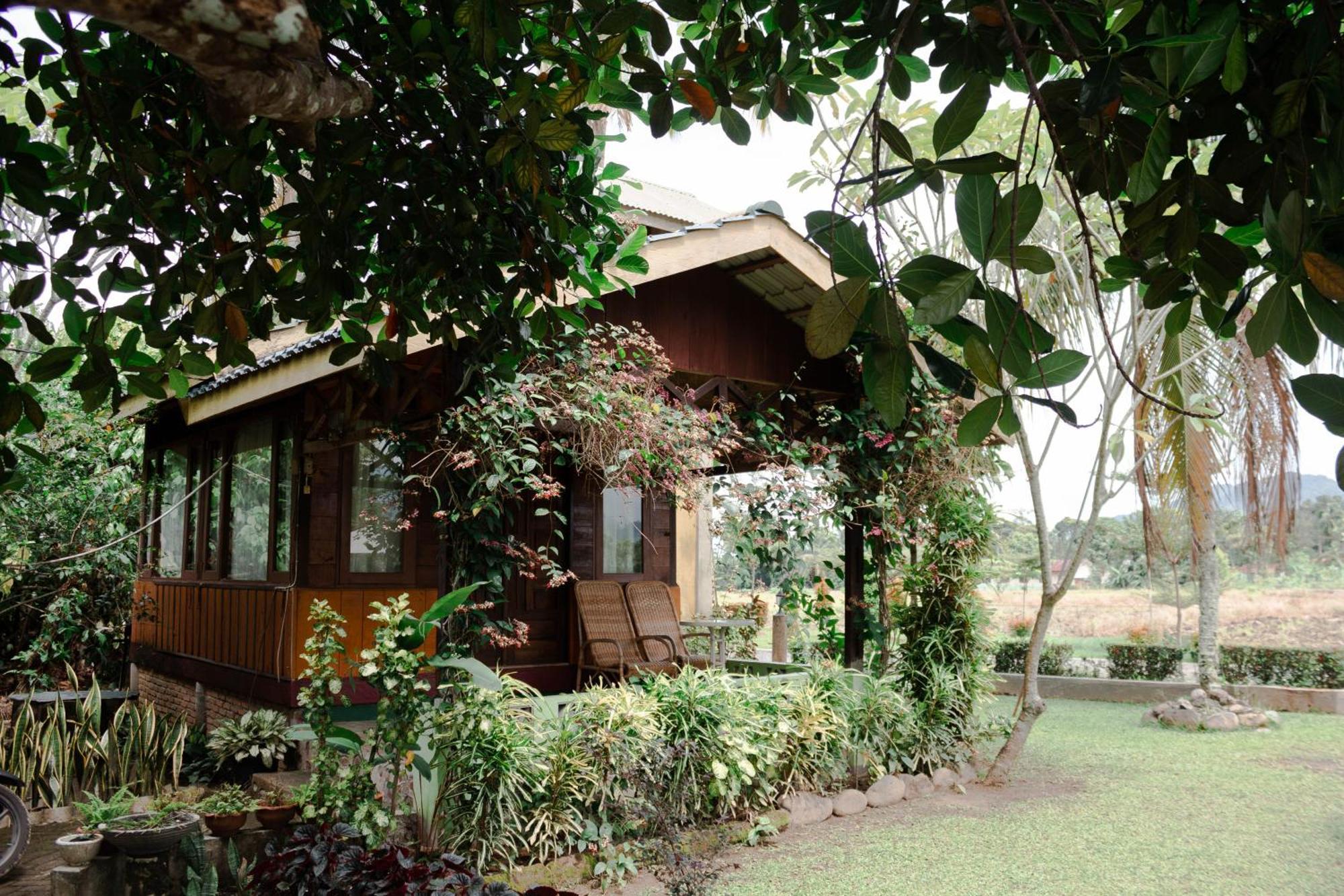 Ambow Homestay Jungle Trekking & Village Tour Bukit Lawang Extérieur photo