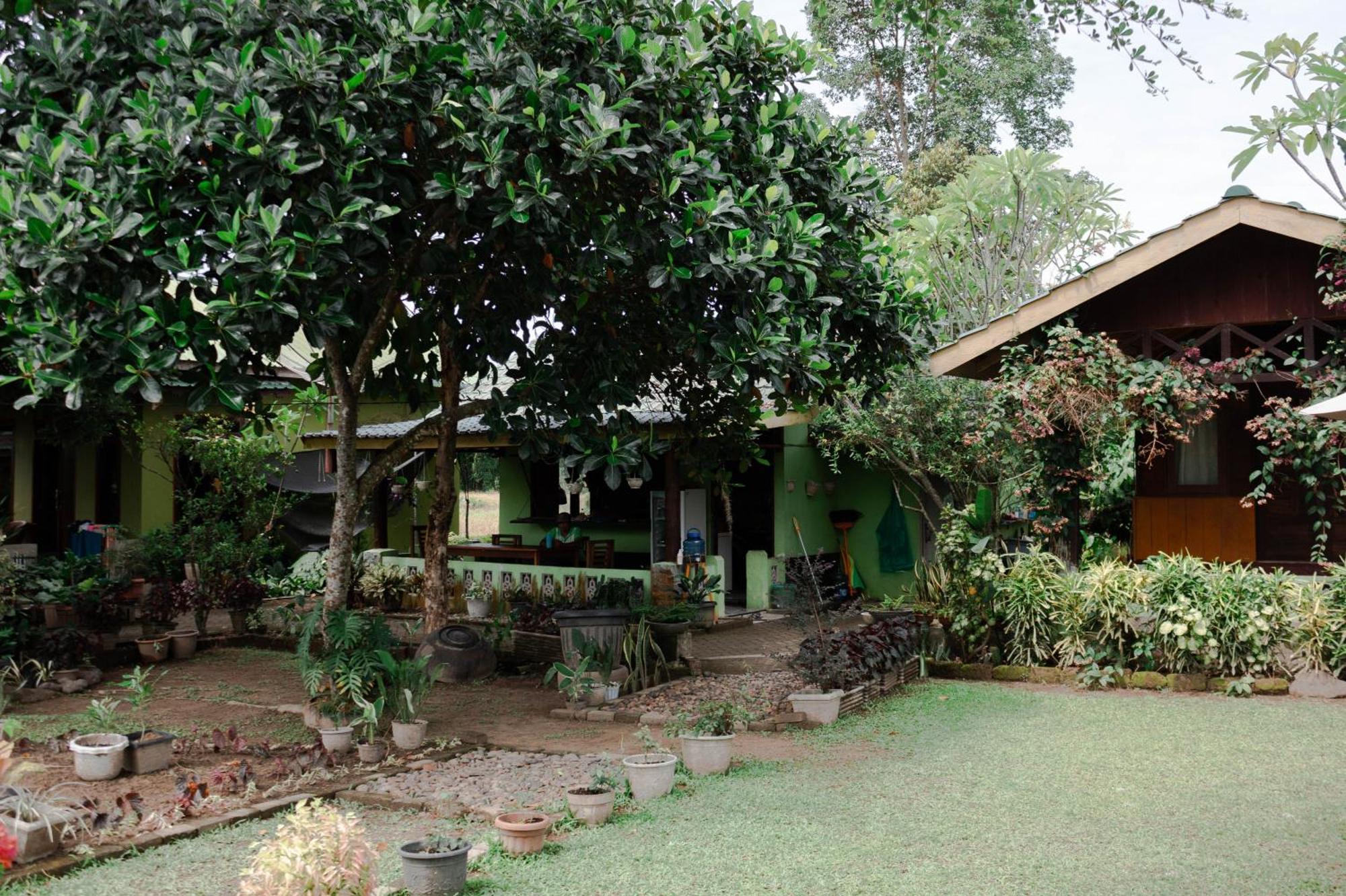 Ambow Homestay Jungle Trekking & Village Tour Bukit Lawang Extérieur photo