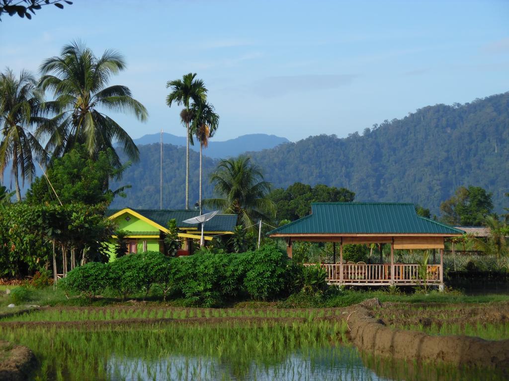 Ambow Homestay Jungle Trekking & Village Tour Bukit Lawang Extérieur photo