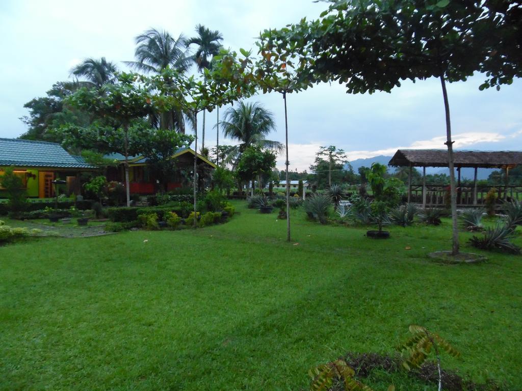 Ambow Homestay Jungle Trekking & Village Tour Bukit Lawang Extérieur photo