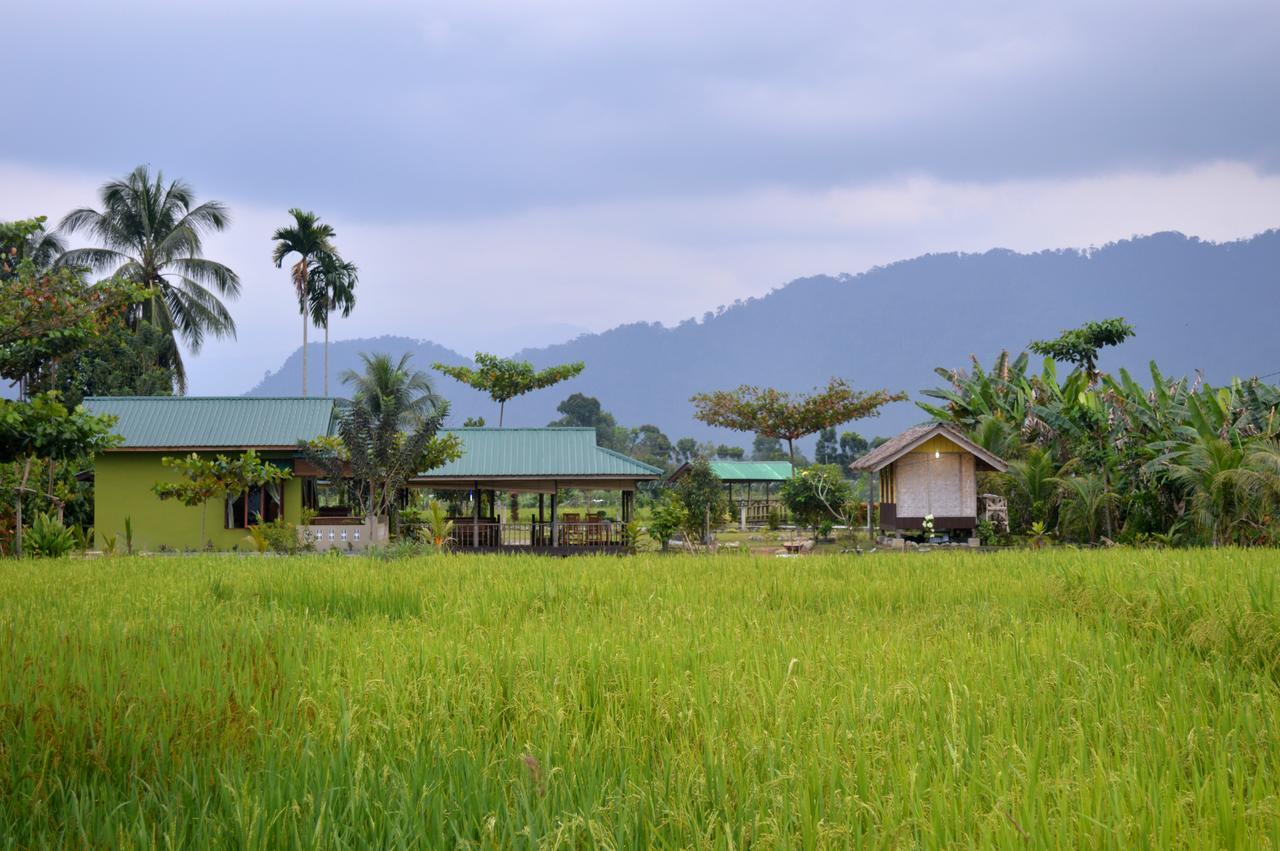 Ambow Homestay Jungle Trekking & Village Tour Bukit Lawang Extérieur photo