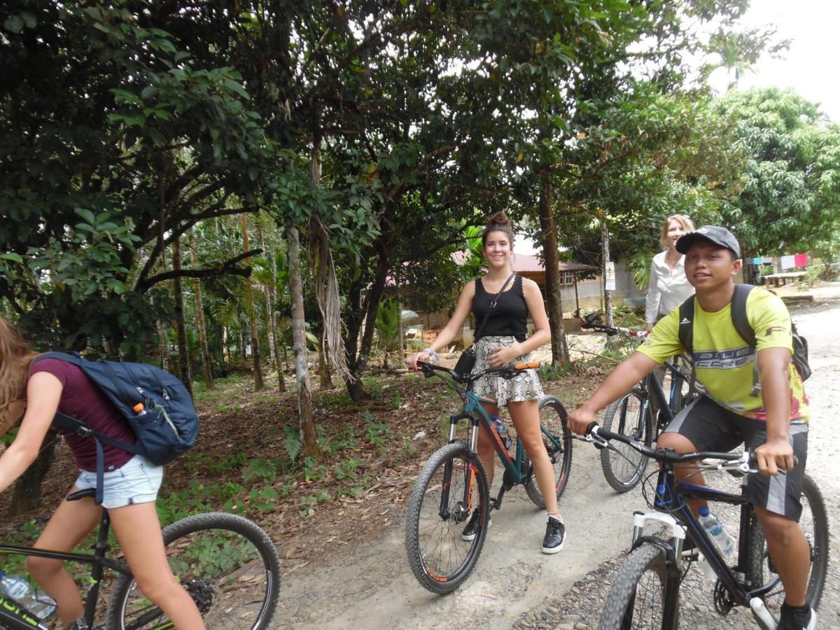 Ambow Homestay Jungle Trekking & Village Tour Bukit Lawang Extérieur photo