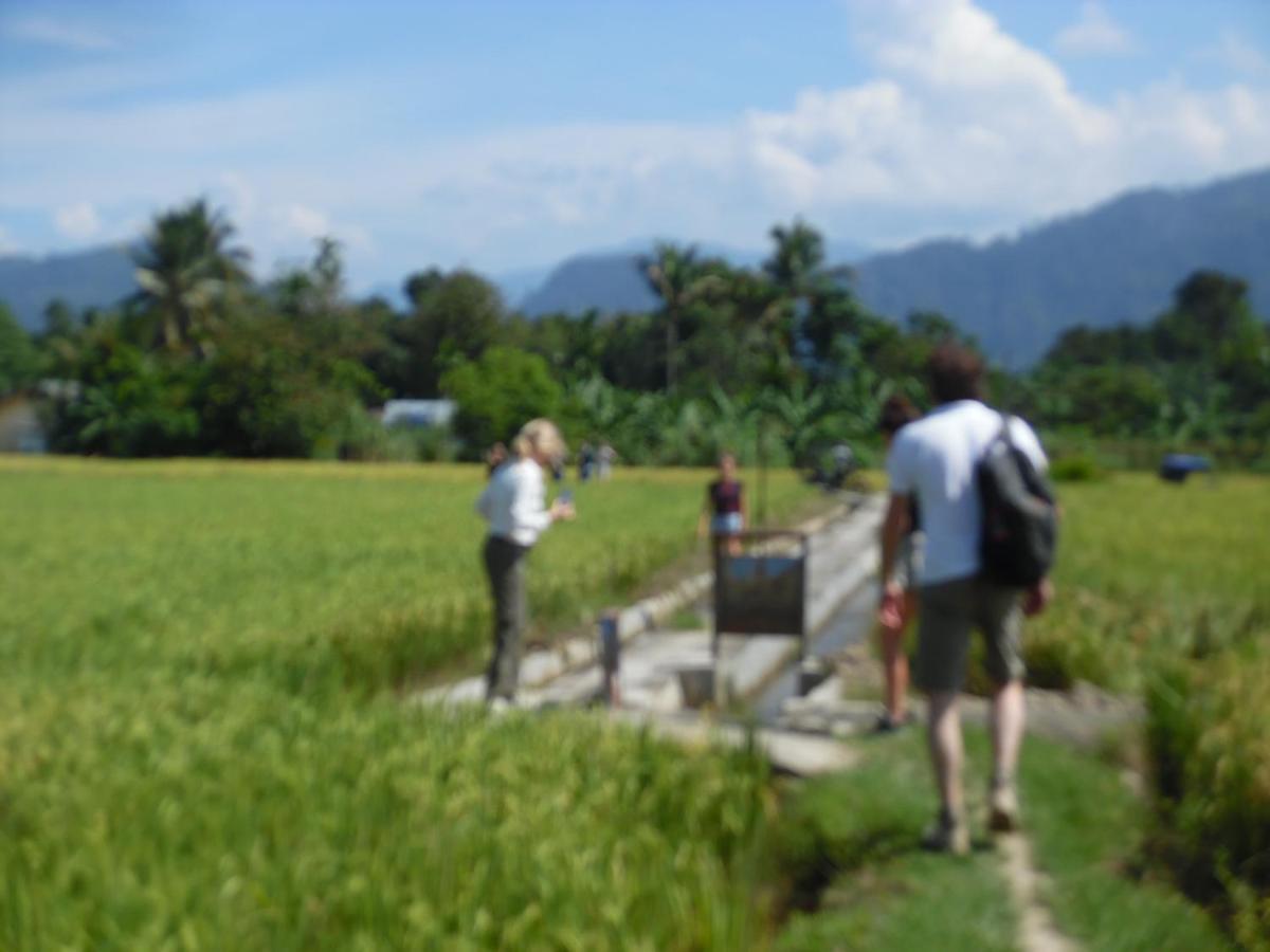 Ambow Homestay Jungle Trekking & Village Tour Bukit Lawang Extérieur photo