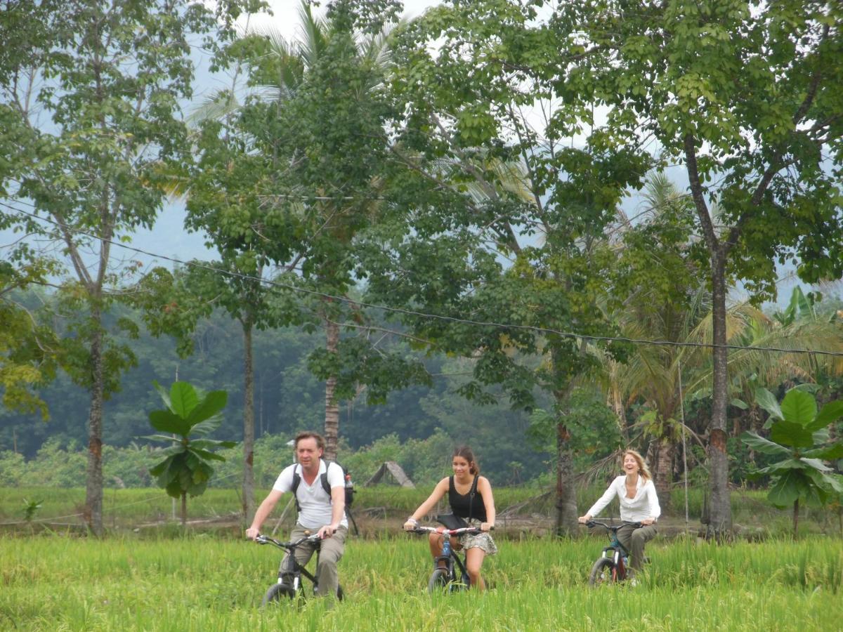 Ambow Homestay Jungle Trekking & Village Tour Bukit Lawang Extérieur photo