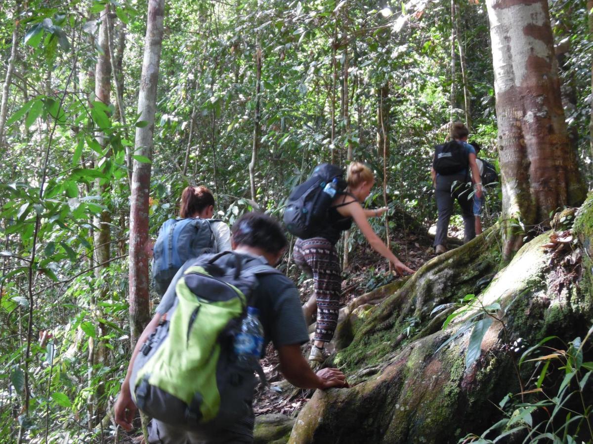Ambow Homestay Jungle Trekking & Village Tour Bukit Lawang Extérieur photo