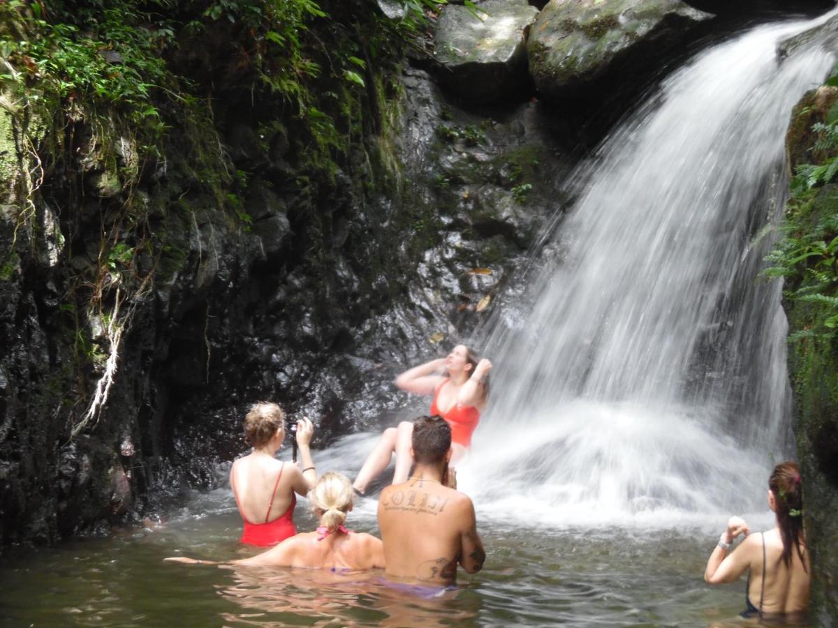 Ambow Homestay Jungle Trekking & Village Tour Bukit Lawang Extérieur photo