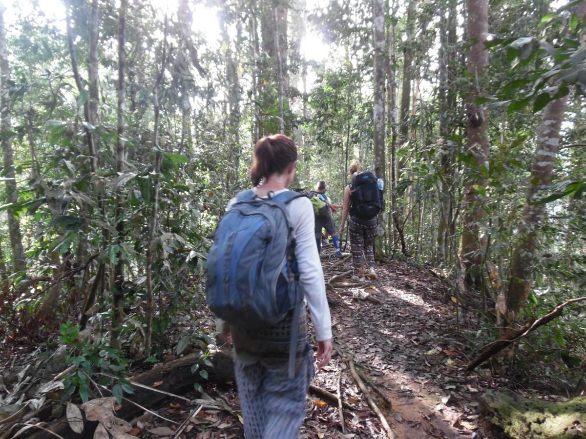 Ambow Homestay Jungle Trekking & Village Tour Bukit Lawang Extérieur photo