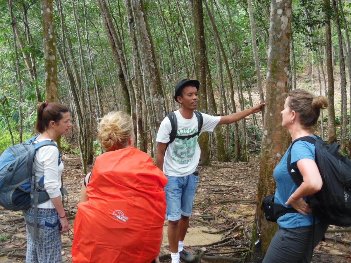 Ambow Homestay Jungle Trekking & Village Tour Bukit Lawang Extérieur photo