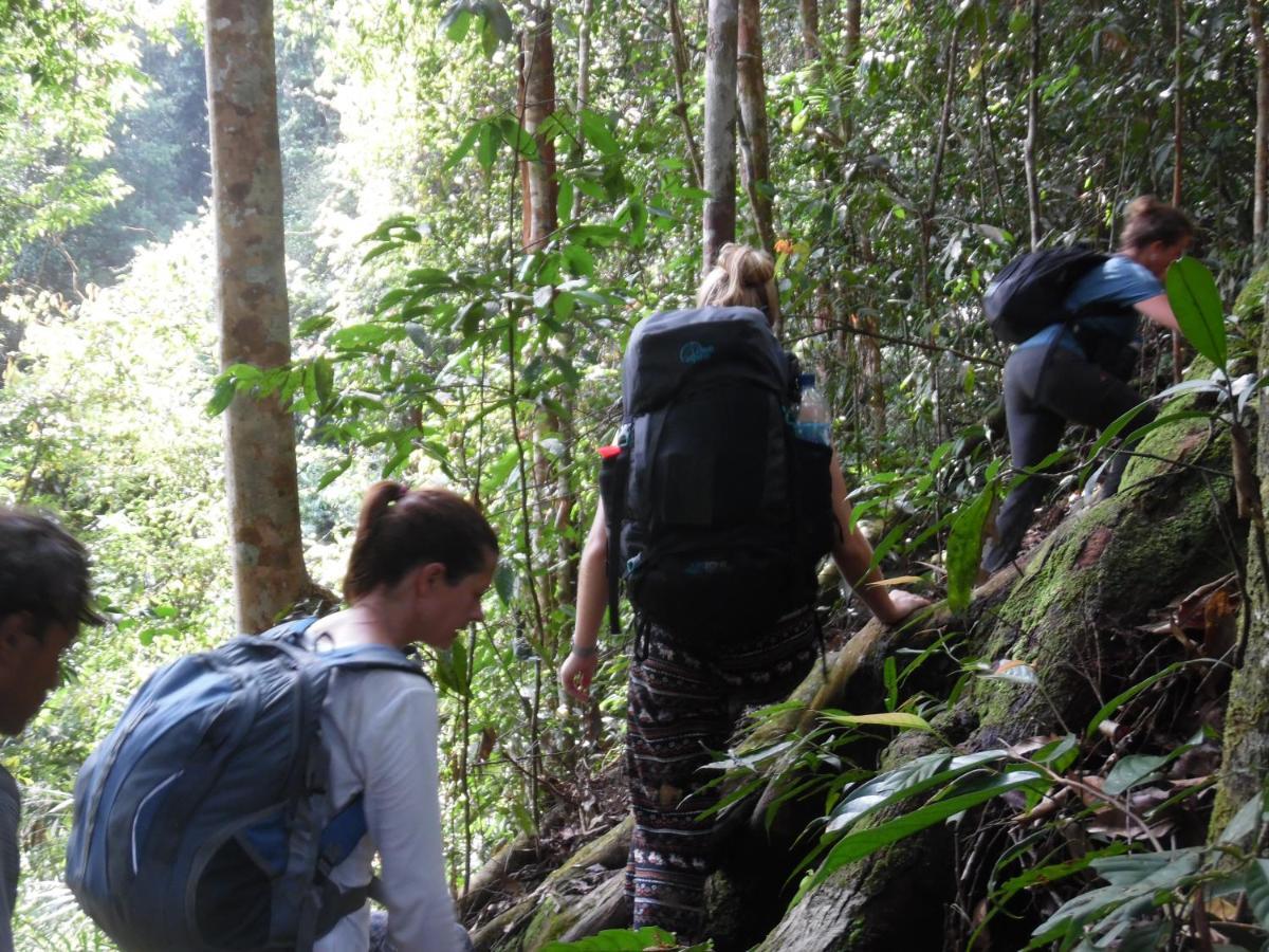 Ambow Homestay Jungle Trekking & Village Tour Bukit Lawang Extérieur photo