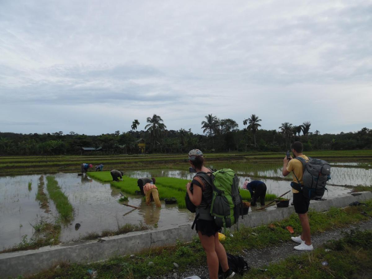 Ambow Homestay Jungle Trekking & Village Tour Bukit Lawang Extérieur photo